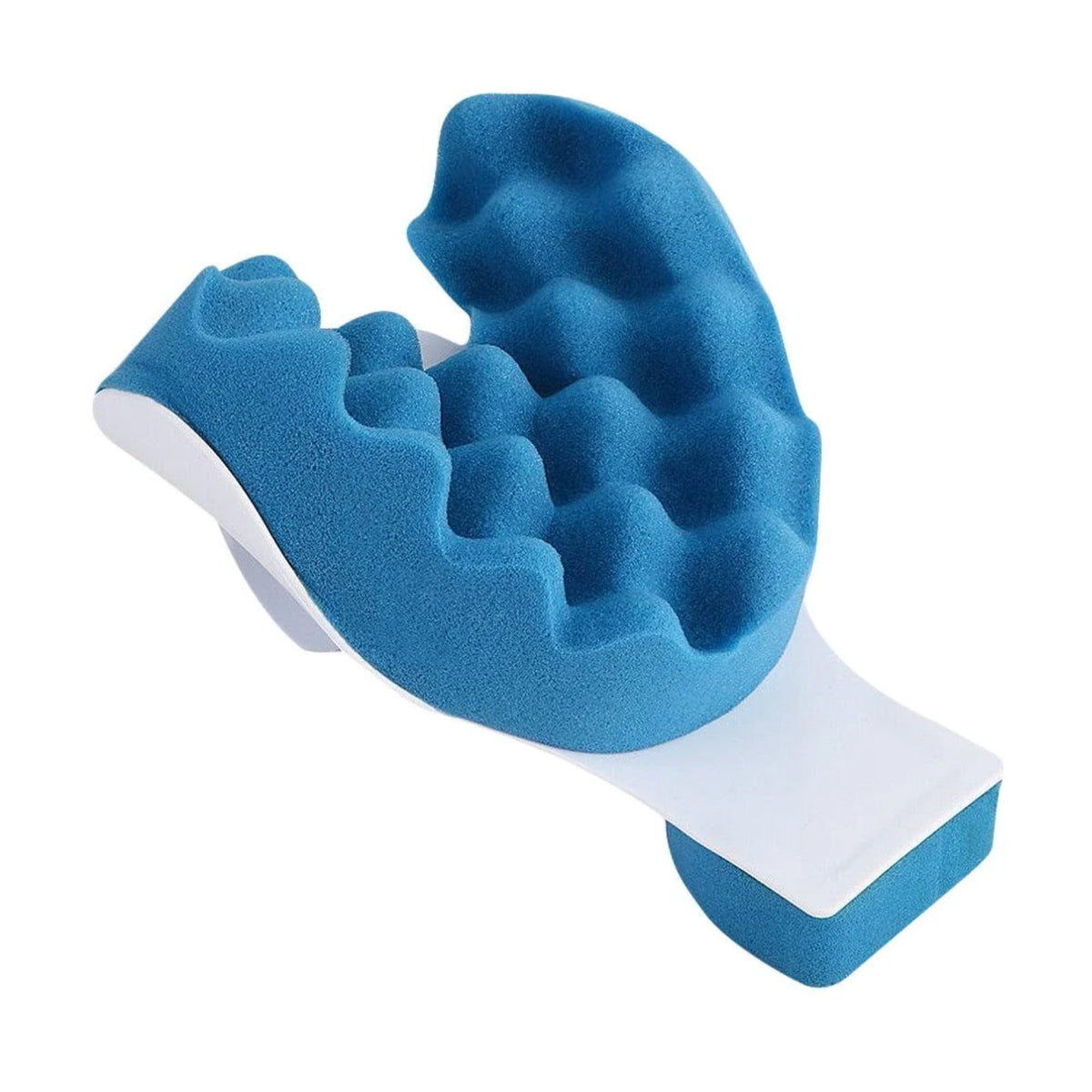 Neck Muscles Support Muscle Relaxation